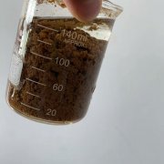 影响聚丙烯酰胺絮凝的主要因素