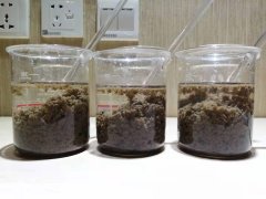 聚丙烯酰胺的标准溶解方法是什么？