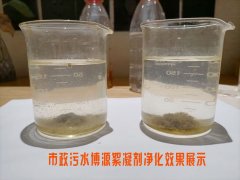 聚丙烯酰胺（PAM）