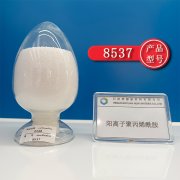 阳离子聚丙烯酰胺和阴离子聚丙烯酰胺的区别有哪些