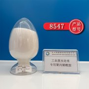 阳离子和阴离子哪个更适用生活污水处理？