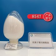 食品加工厂废水解决阳离子聚丙烯酰胺（CPAM）