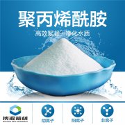 非离子聚丙烯酰胺的产品