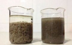 增强污泥脱水效率的秘密武器：聚丙烯酰