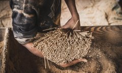 增强香类产品质量的秘密：聚丙烯酰胺在