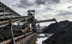 型煤粘合剂中的聚丙烯酰